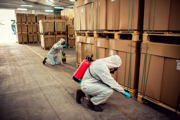 Best Best Pest Control Companies  in Noroton Heights, CT