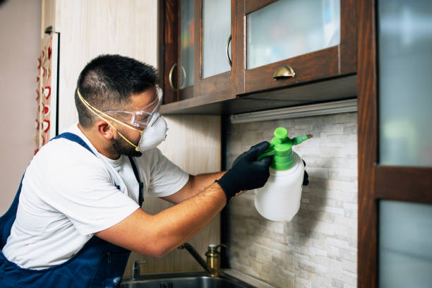 Best Affordable Pest Control Services  in Noroton Heights, CT