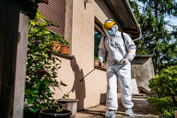 Best Pest Inspection Near Me  in Noroton Heights, CT