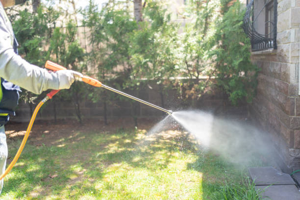 Best Wasp Removal Services  in Noroton Heights, CT