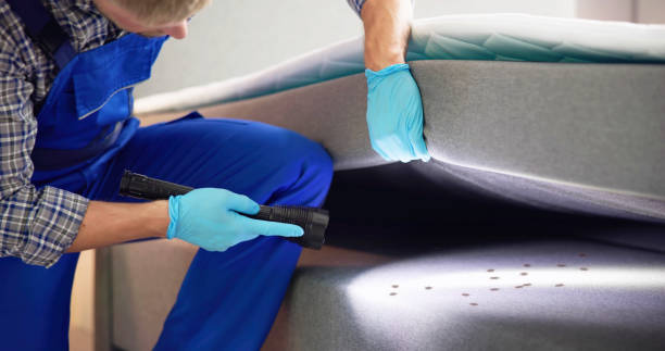 Best Ant Control Services  in Noroton Heights, CT