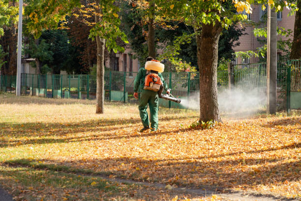 Best Best Pest Control Companies  in Noroton Heights, CT